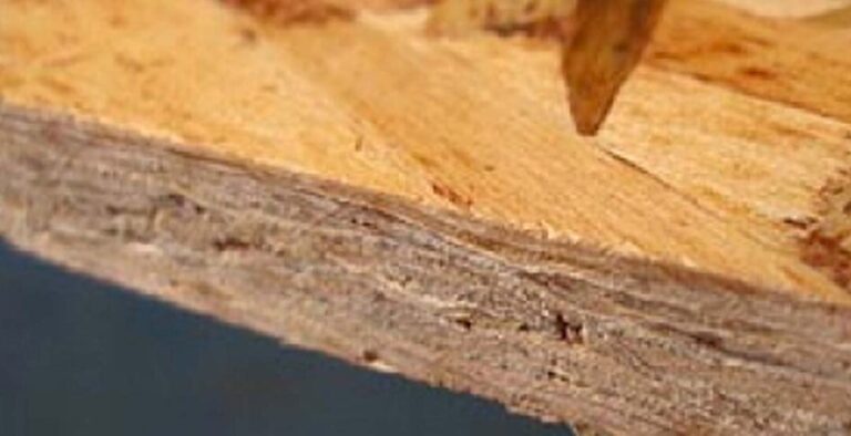Guía completa de impermeabilización de madera