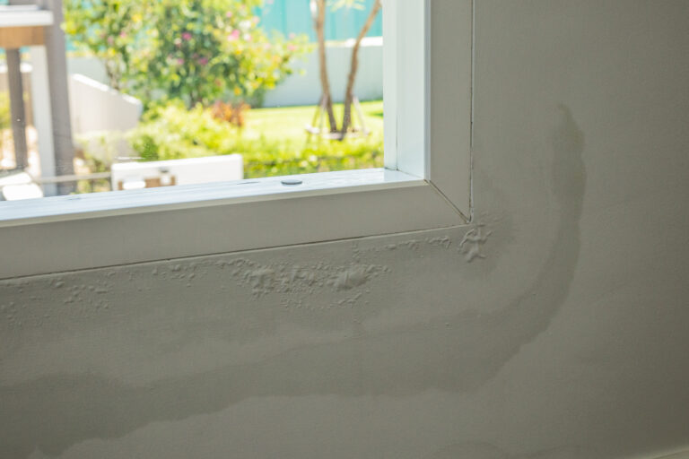 Guía efectiva para eliminar la humedad en paredes
