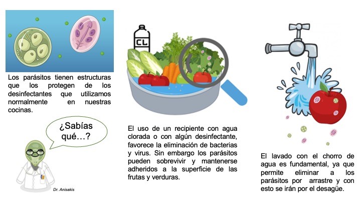 Técnicas efectivas para desinfectar frutas y verduras de forma segura
